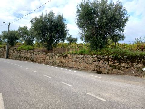 Terreno Para Construção  Venda em Castelo de Penalva,Penalva do Castelo