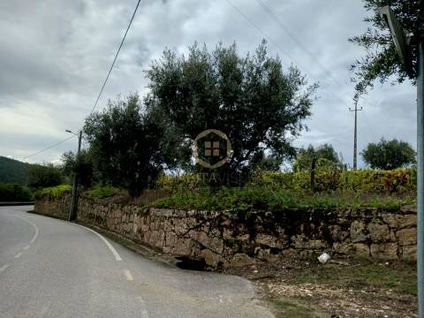 Terreno Para Construção  Venda em Castelo de Penalva,Penalva do Castelo