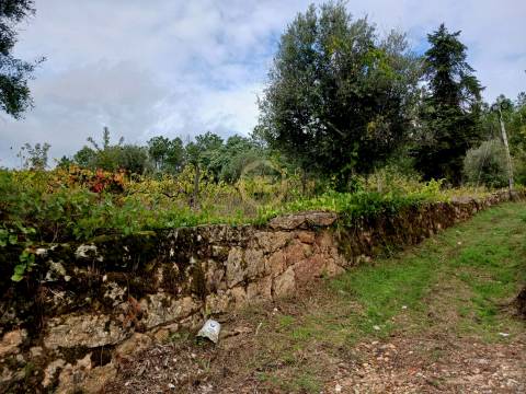 Terreno Para Construção  Venda em Castelo de Penalva,Penalva do Castelo
