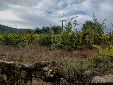 Terreno Para Construção  Venda em Castelo de Penalva,Penalva do Castelo