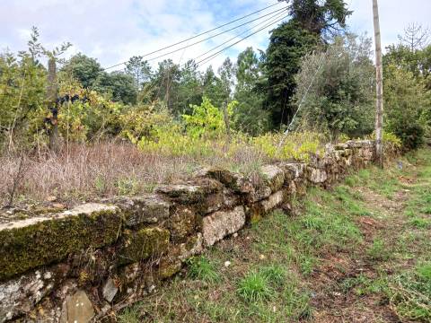 Terreno Para Construção  Venda em Castelo de Penalva,Penalva do Castelo