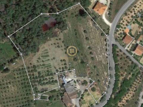 Terreno Para Construção  Venda em Castelo de Penalva,Penalva do Castelo