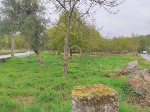 Terreno Misto  Venda em Orgens,Viseu