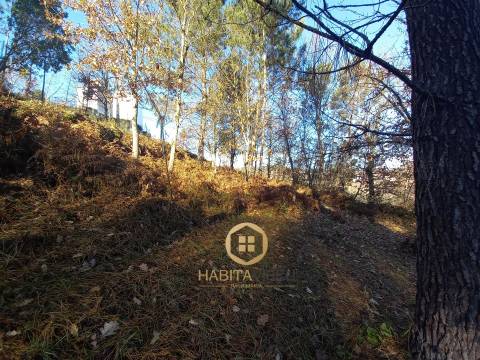 Terreno Para Construção  Venda em Repeses e São Salvador,Viseu