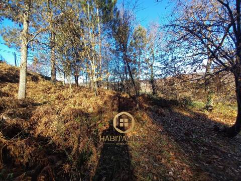 Terreno Para Construção  Venda em Repeses e São Salvador,Viseu