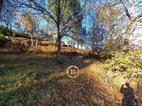 Terreno Para Construção  Venda em Repeses e São Salvador,Viseu