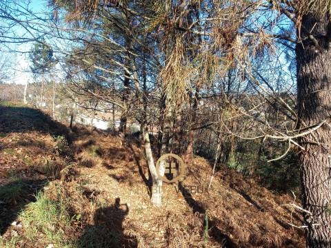 Terreno Para Construção  Venda em Repeses e São Salvador,Viseu