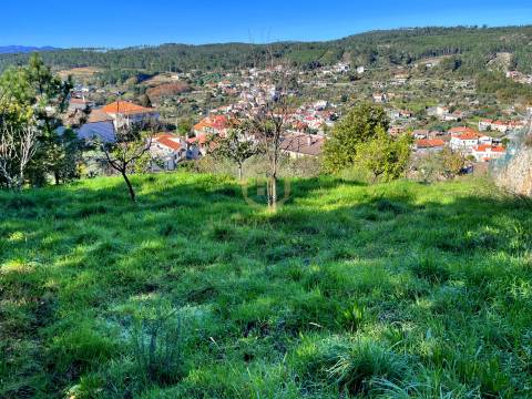Terreno Para Construção  Venda em Orgens,Viseu