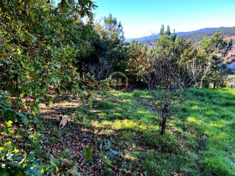 Terreno Para Construção  Venda em Orgens,Viseu