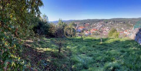 Terreno Para Construção  Venda em Orgens,Viseu