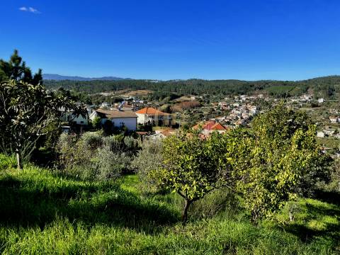 Terreno Para Construção  Venda em Orgens,Viseu