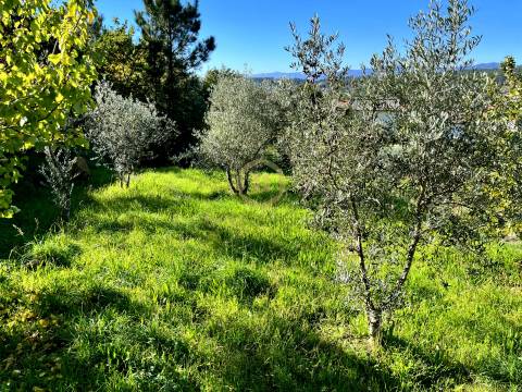 Terreno Para Construção  Venda em Orgens,Viseu