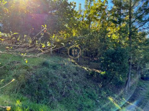 Terreno Para Construção  Venda em Orgens,Viseu