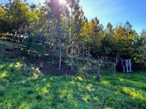 Terreno Para Construção  Venda em Orgens,Viseu