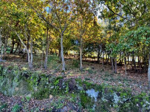 Terreno Para Construção  Venda em Orgens,Viseu