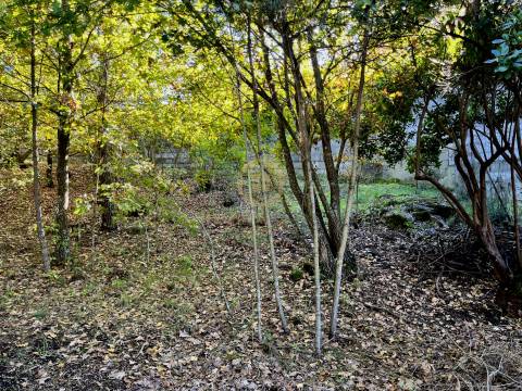 Terreno Para Construção  Venda em Orgens,Viseu
