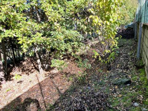 Terreno Para Construção  Venda em Orgens,Viseu