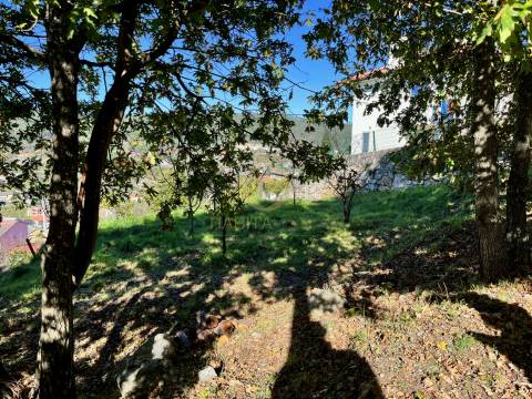 Terreno Para Construção  Venda em Orgens,Viseu