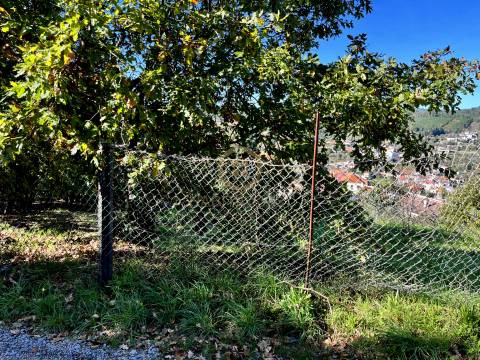 Terreno Para Construção  Venda em Orgens,Viseu