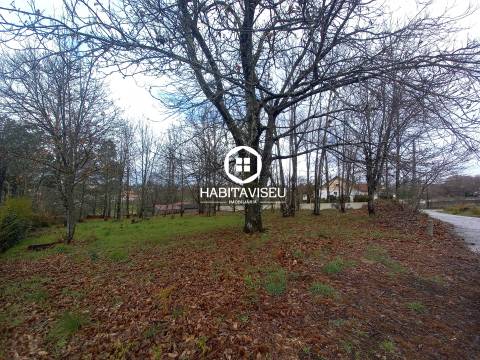 Terreno Para Construção  Venda em Sátão,Sátão