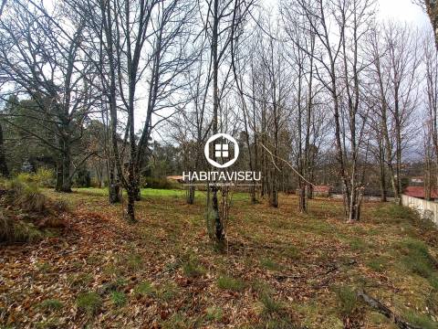 Terreno Para Construção  Venda em Sátão,Sátão