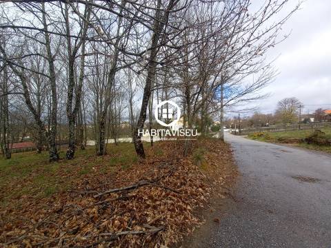 Terreno Para Construção  Venda em Sátão,Sátão