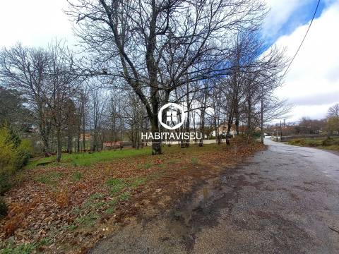 Terreno Para Construção  Venda em Sátão,Sátão