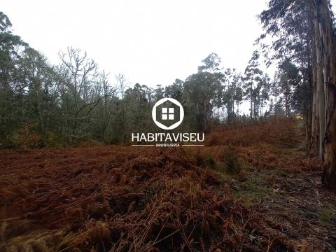 Terreno Para Construção  Venda em Sátão,Sátão