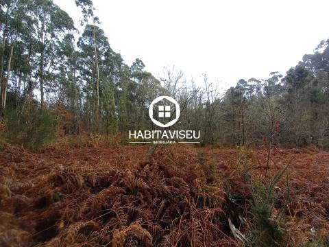 Terreno Para Construção  Venda em Sátão,Sátão