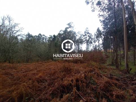 Terreno Para Construção  Venda em Sátão,Sátão