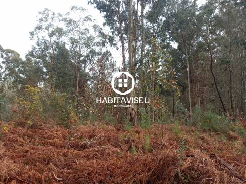 Terreno Para Construção  Venda em Sátão,Sátão