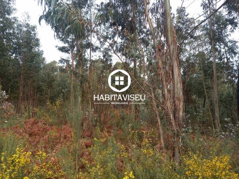 Terreno Para Construção  Venda em Sátão,Sátão