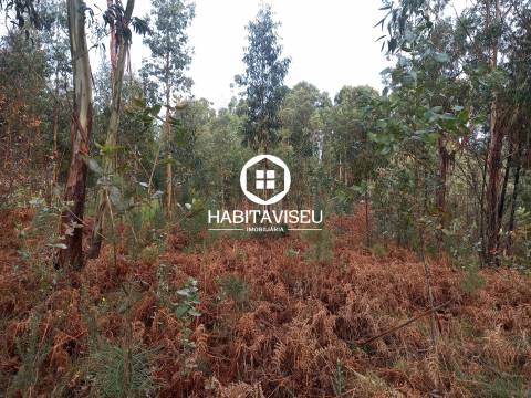 Terreno Para Construção  Venda em Sátão,Sátão