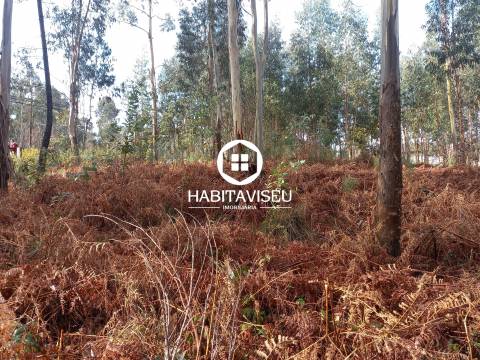 Terreno Para Construção  Venda em Sátão,Sátão