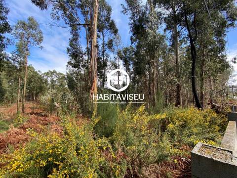 Terreno Para Construção  Venda em Sátão,Sátão