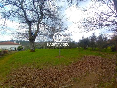 Terreno Para Construção  Venda em São Cipriano e Vil de Souto,Viseu