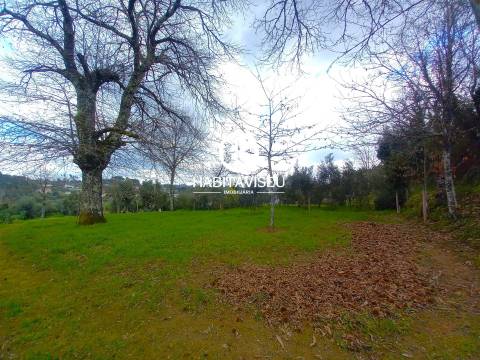 Terreno Para Construção  Venda em São Cipriano e Vil de Souto,Viseu