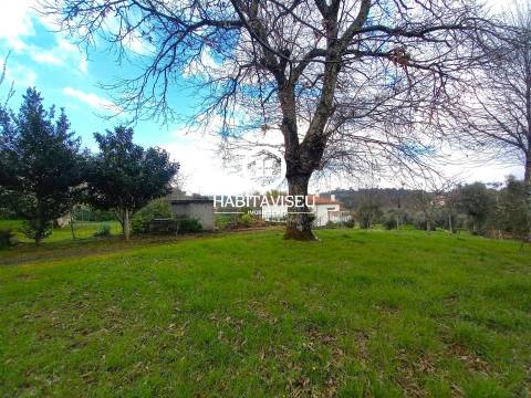 Terreno Para Construção  Venda em São Cipriano e Vil de Souto,Viseu