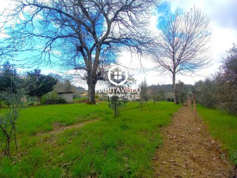 Terreno Para Construção  Venda em São Cipriano e Vil de Souto,Viseu