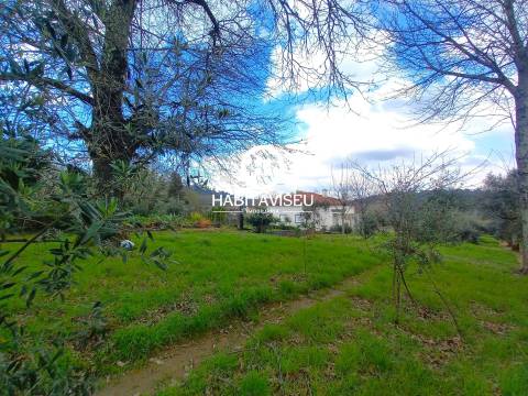 Terreno Para Construção  Venda em São Cipriano e Vil de Souto,Viseu