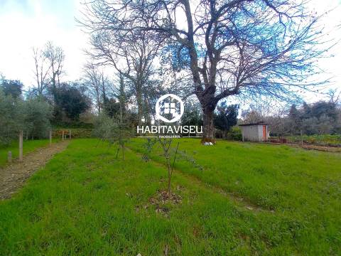 Terreno Para Construção  Venda em São Cipriano e Vil de Souto,Viseu