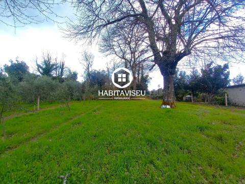 Terreno Para Construção  Venda em São Cipriano e Vil de Souto,Viseu