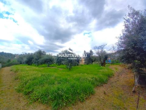 Terreno Para Construção  Venda em São Cipriano e Vil de Souto,Viseu