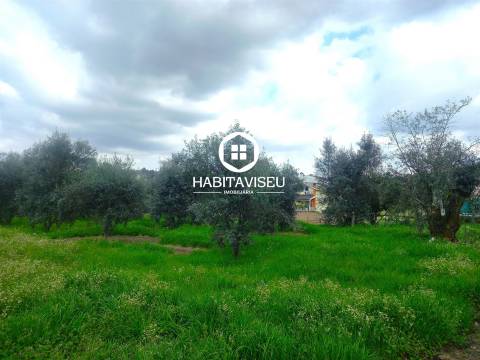 Terreno Para Construção  Venda em São Cipriano e Vil de Souto,Viseu