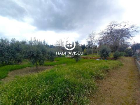Terreno Para Construção  Venda em São Cipriano e Vil de Souto,Viseu