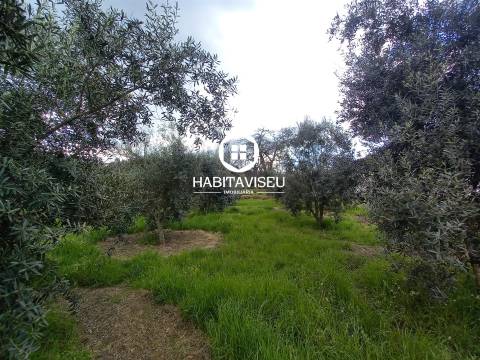 Terreno Para Construção  Venda em São Cipriano e Vil de Souto,Viseu