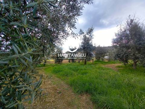 Terreno Para Construção  Venda em São Cipriano e Vil de Souto,Viseu