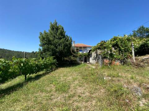 Moradia Isolada T2+1 Venda em Sul,São Pedro do Sul