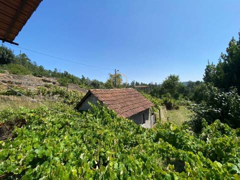 Moradia Isolada T2+1 Venda em Sul,São Pedro do Sul