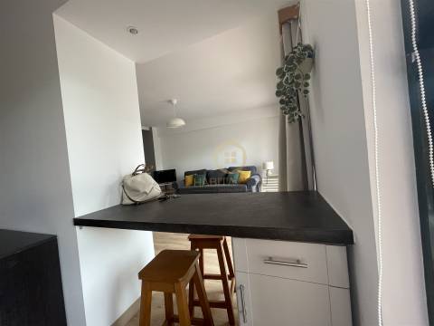 Apartamento T0 Arrendamento em São Pedro do Sul, Várzea e Baiões,São Pedro do Sul